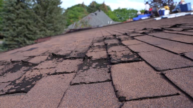 Roof Moss and Algae Removal in Wahoo, NE